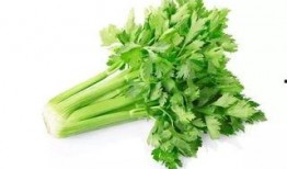 爆料人酒仙小芹菜视频,揭秘娱乐圈惊人内幕